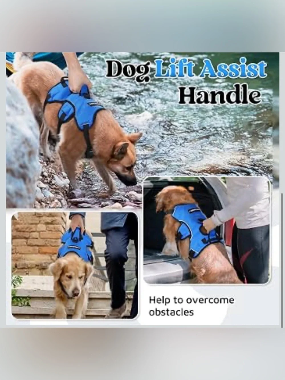 Rabbitgoo Escape Proof Dog Harness, Soft Padded Full Body Pet Harness 2380/dc-1